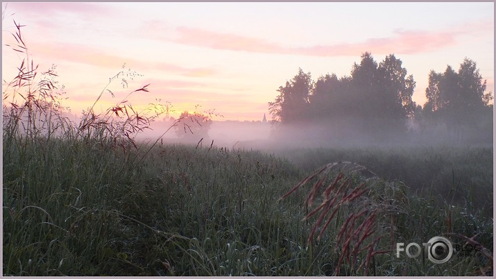 Jāņudienas rīts...