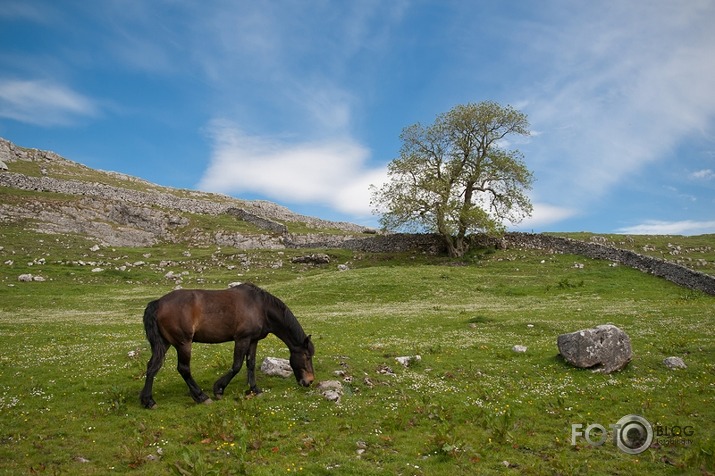 Ingleton Waterfalls