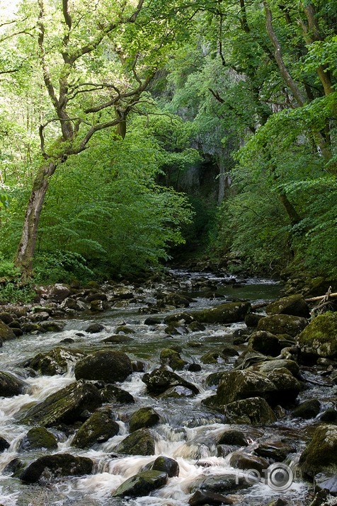 Ingleton Waterfalls