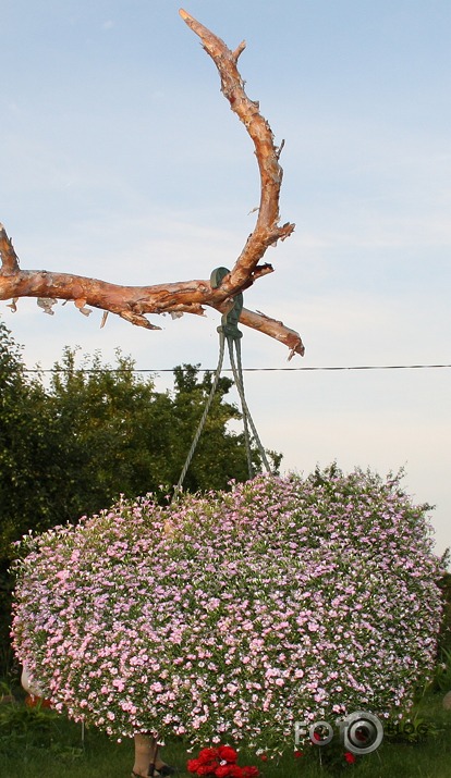 Pastaiga pa dārzu