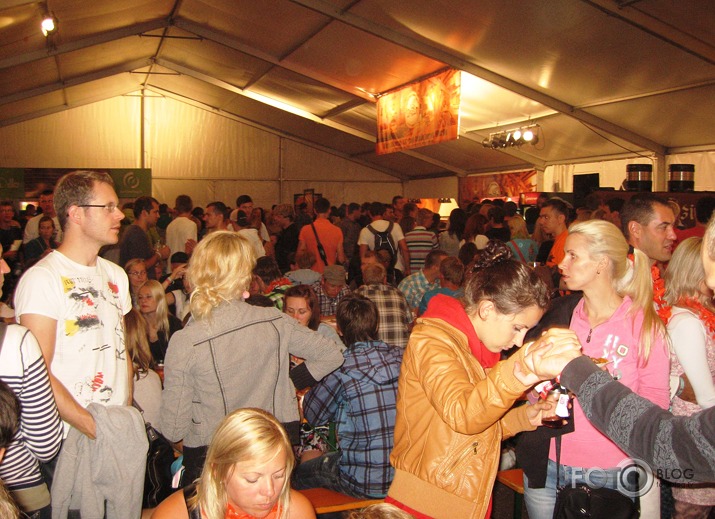 Positivus 2011