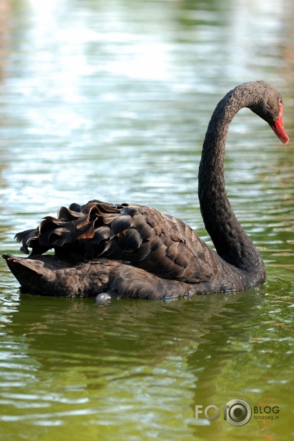 Rīts Maija parkā