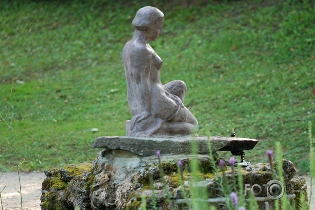 Rīts Maija parkā
