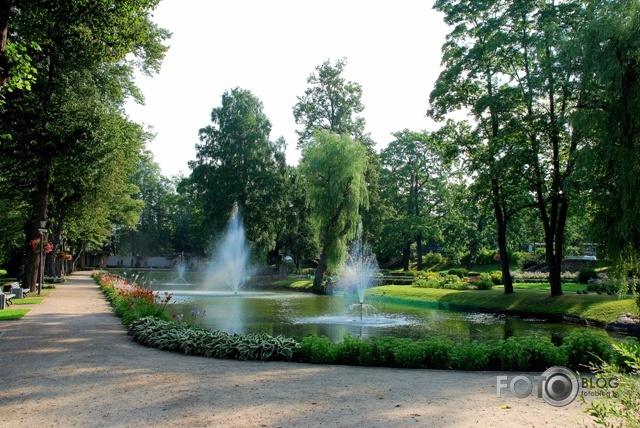 Rīts Maija parkā