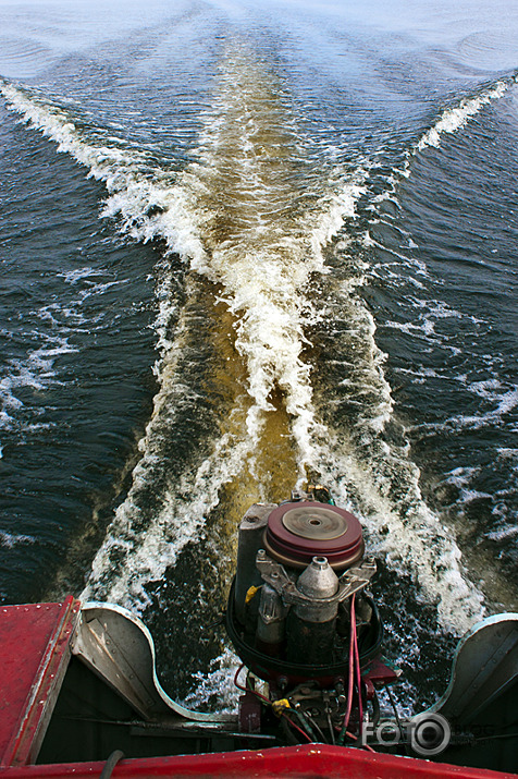 Patiesība ir tepat ārā