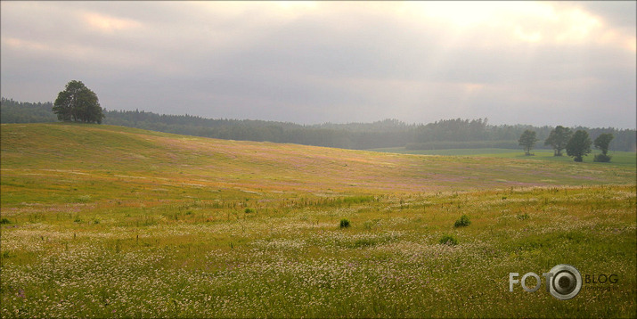  Vasaras novakarē
