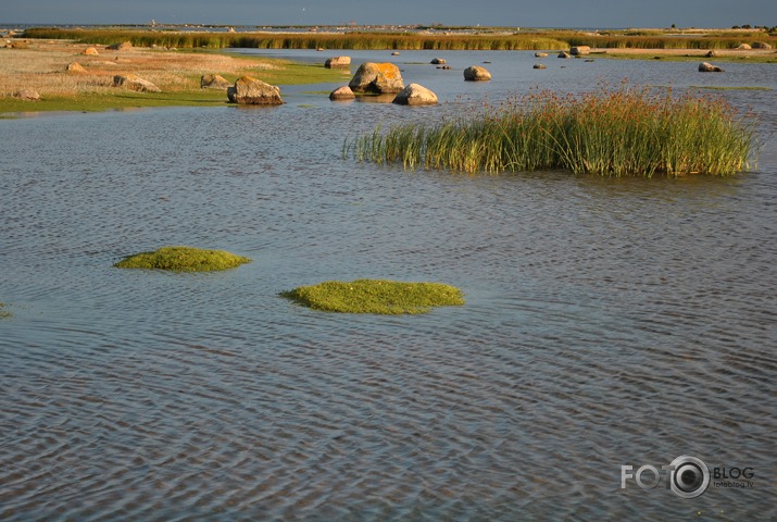 Piejūras pļava