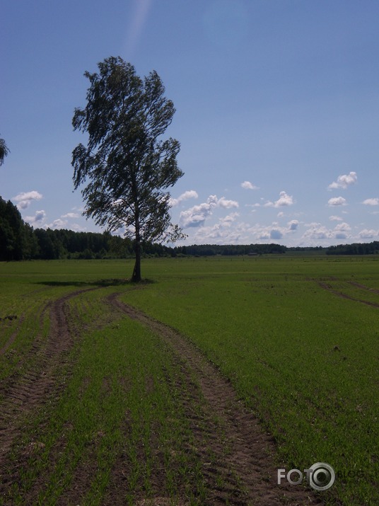 Pirmā fotoreportāža 
