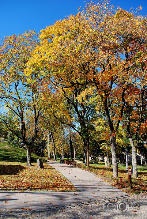 Kuldīga un rudens