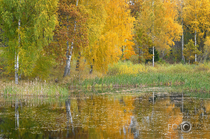 Talsu rudens krāsas...