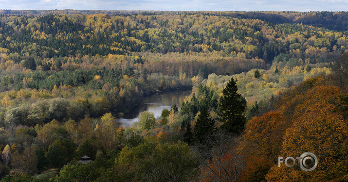 Rudenīgi