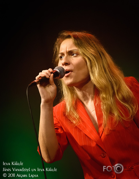 Bildes-2011, Blūza koncerts Lielajā ģildē