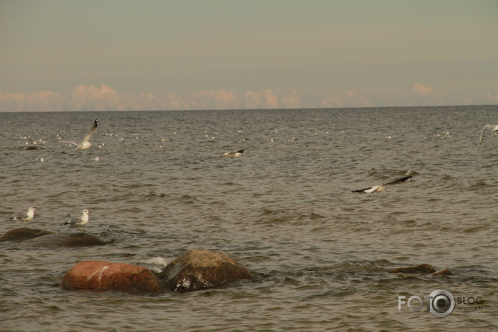 Kurzemes jūrmala