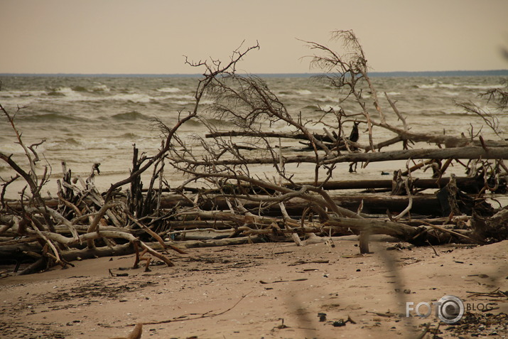 Kurzemes jūrmala