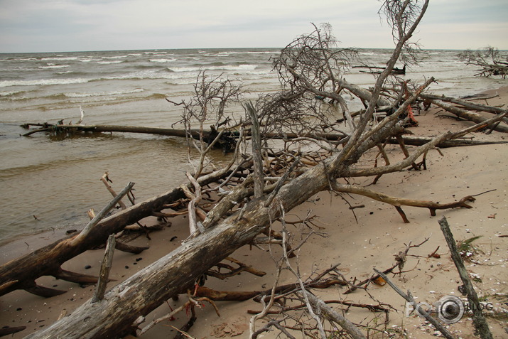 Kurzemes jūrmala