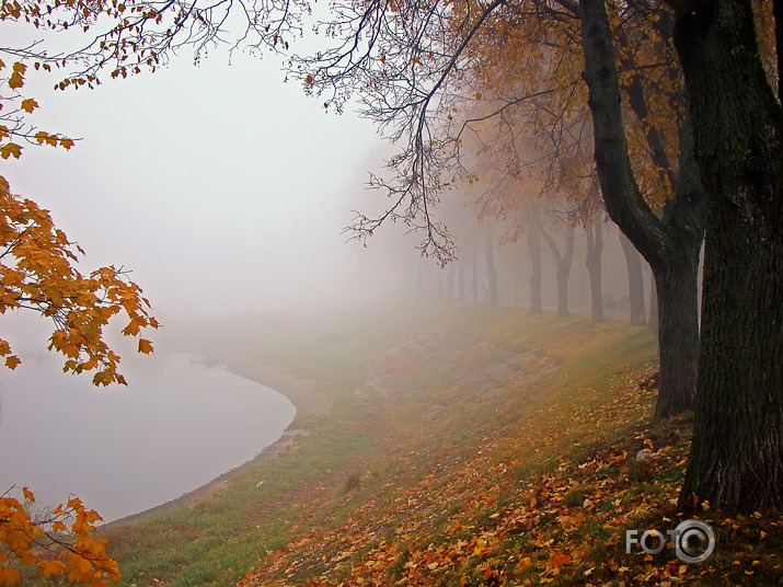 Rudens rīts miglā..