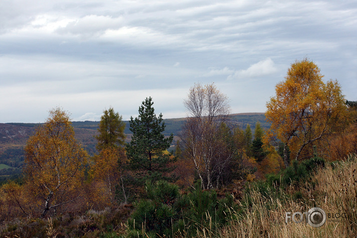 Rudens krāsu karnevāls