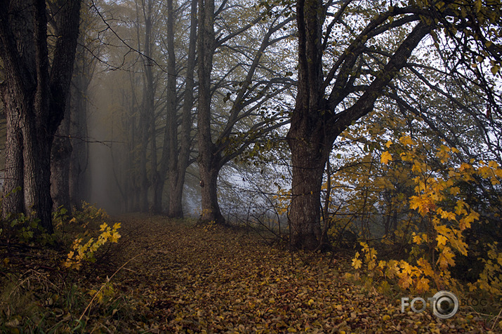 Rudens miglinieks