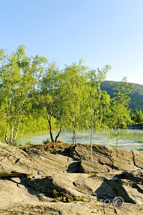 Akmeņaina vide.