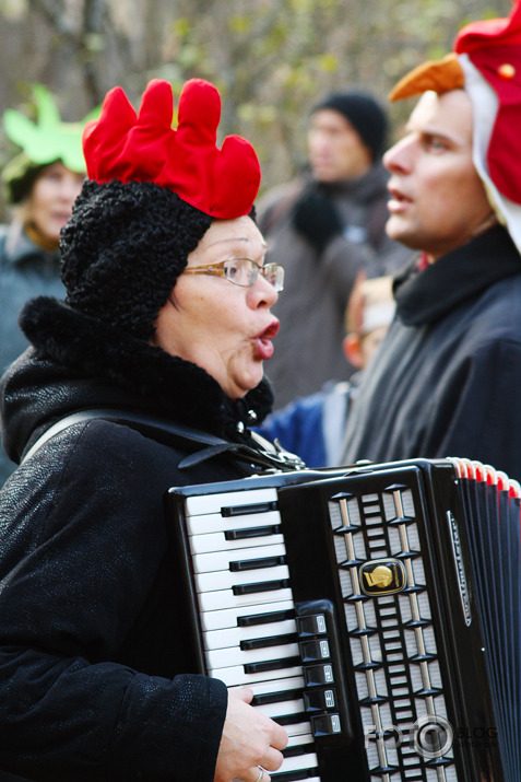 Mārtiņdiena Brīvdabas muzejā