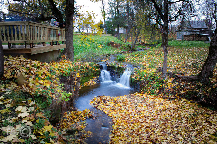 Lielvārdes rumbiņa