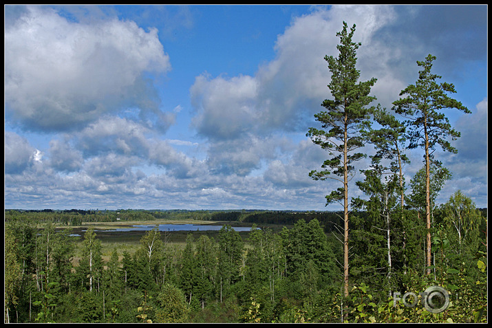 paklusēt pakalnā