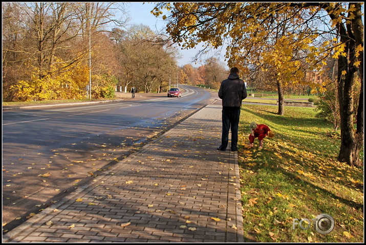 Burvīgs rudens aiz loga...