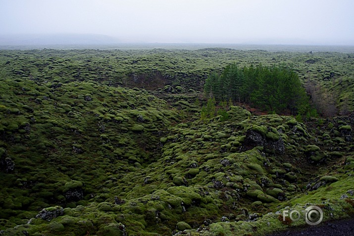 Islandes snapšoti