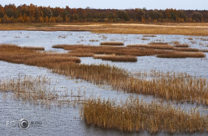 Lubāna ezera skaņās