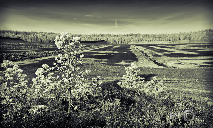 Purvā B/W