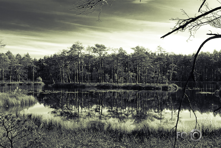 Purvā B/W