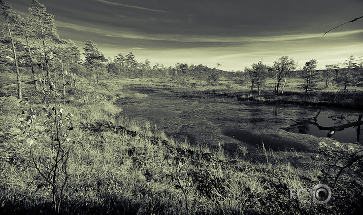 Purvā B/W