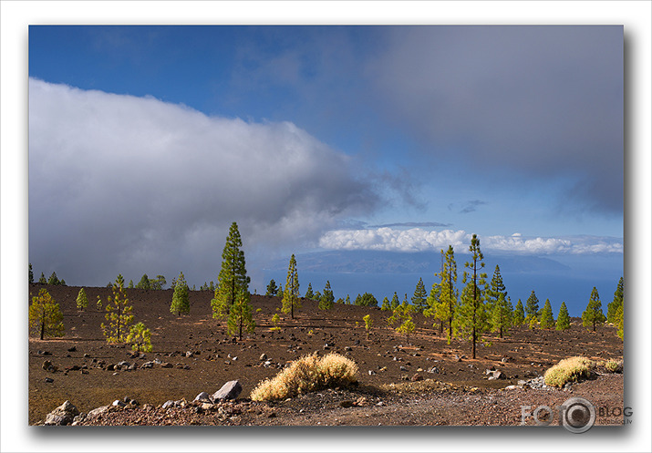 Tenerife