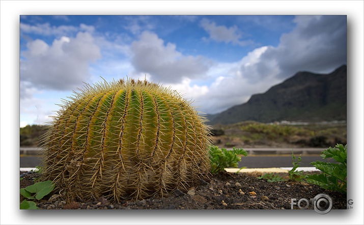 Tenerife