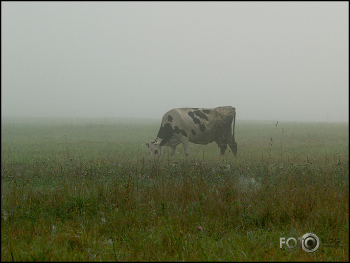 Septembra rīts Mētrienā .