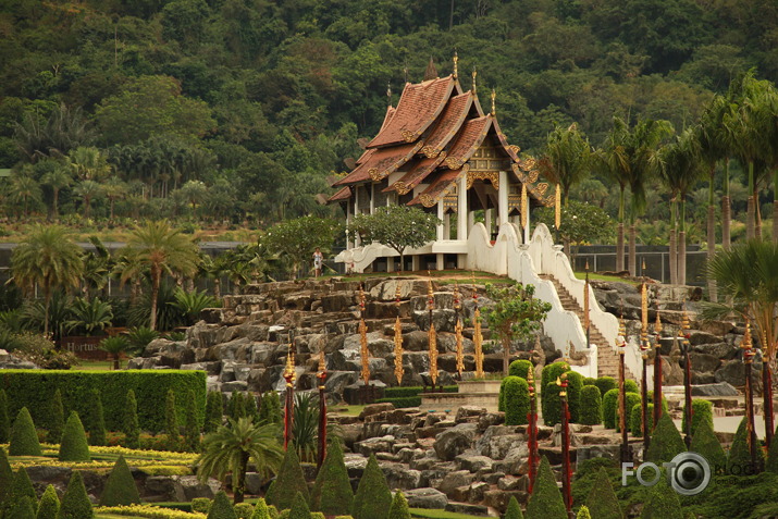 Taizeme (3. daļa - Nong nooch park un ziloņu ferma)