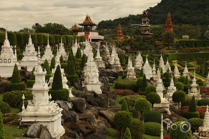 Taizeme (3. daļa - Nong nooch park un ziloņu ferma)