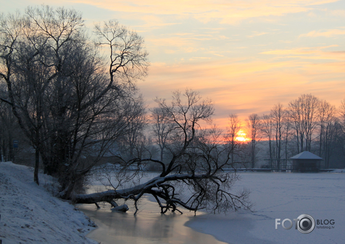 Sestdienas rīta fotocope.