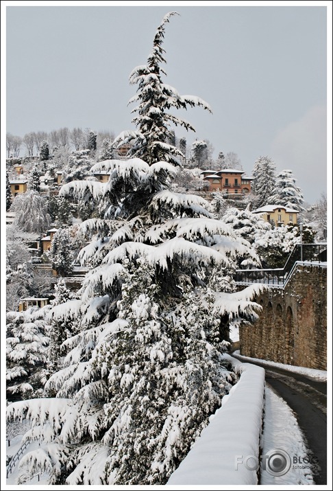 Bergamo, Itālija 2012