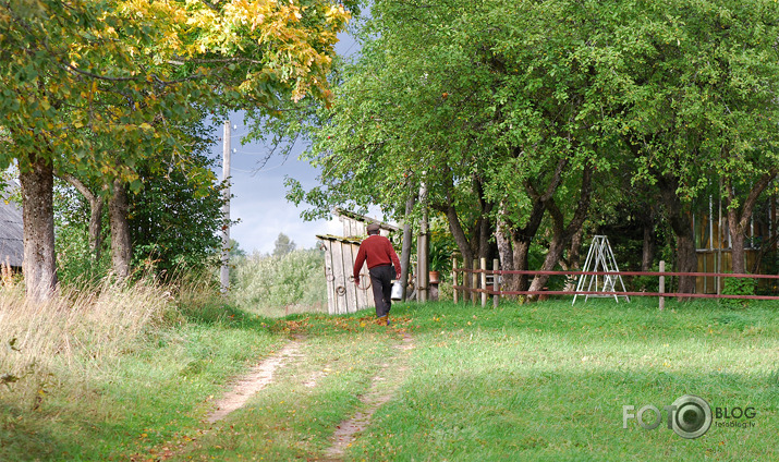 Lauku etīdes