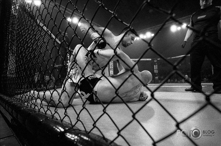 Cage Contender 2012 (The Film diary)