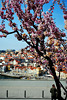 Summer in February [Porto]! 