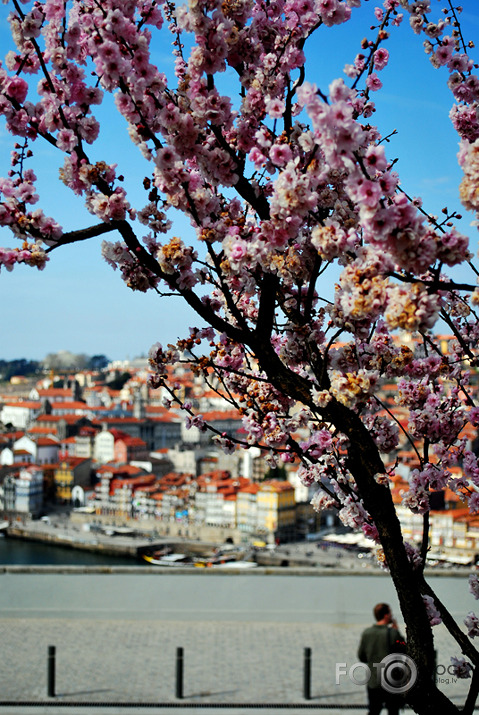 Summer in February [Porto]! 