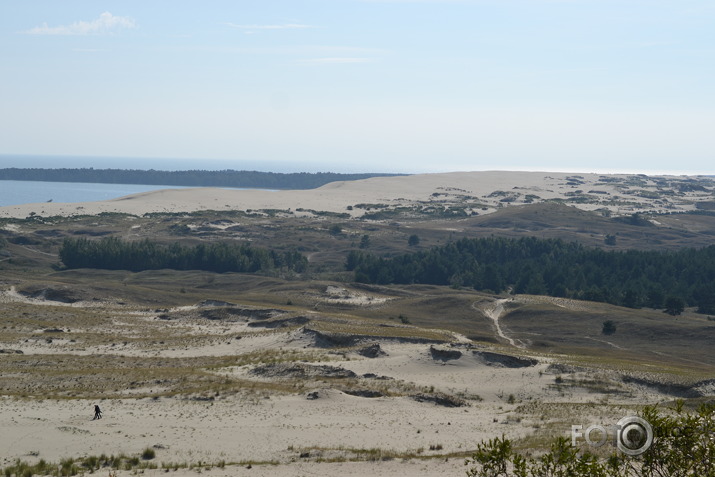 Kuršu kāpa (Lietuva)