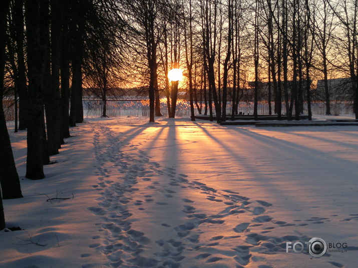 Februāra saules riets uz Daugavas