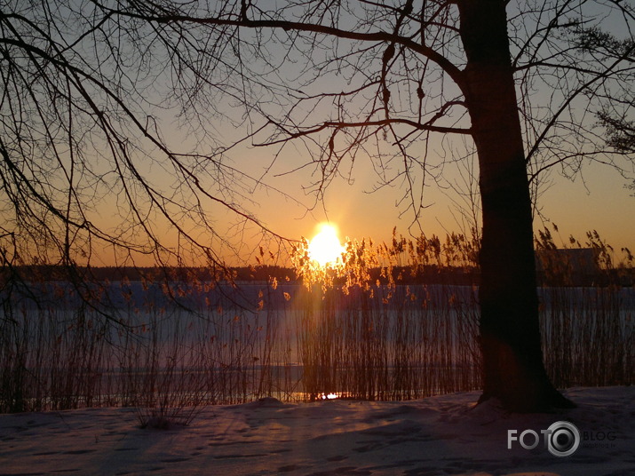 Februāra saules riets uz Daugavas