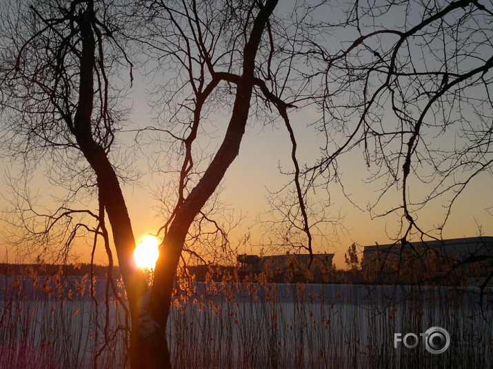 Februāra saules riets uz Daugavas