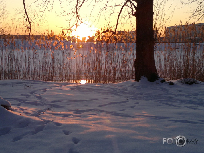 Februāra saules riets uz Daugavas