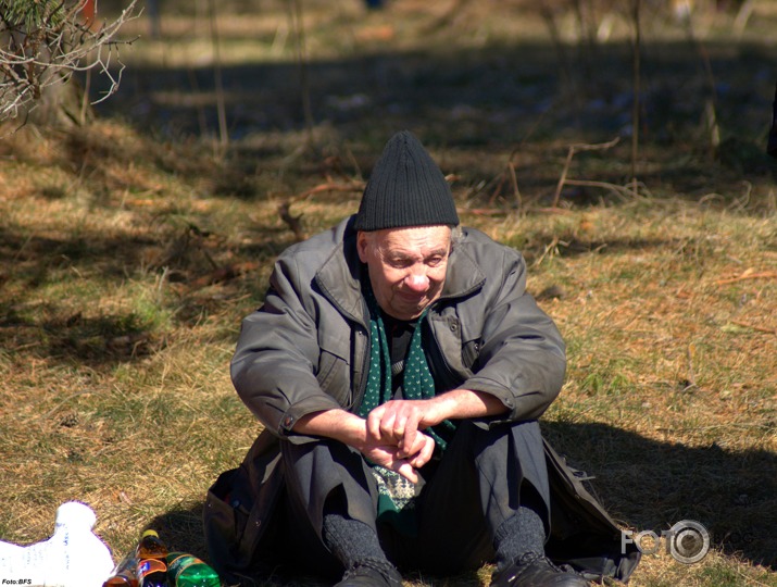 Brīvdabas muzeja skaņās