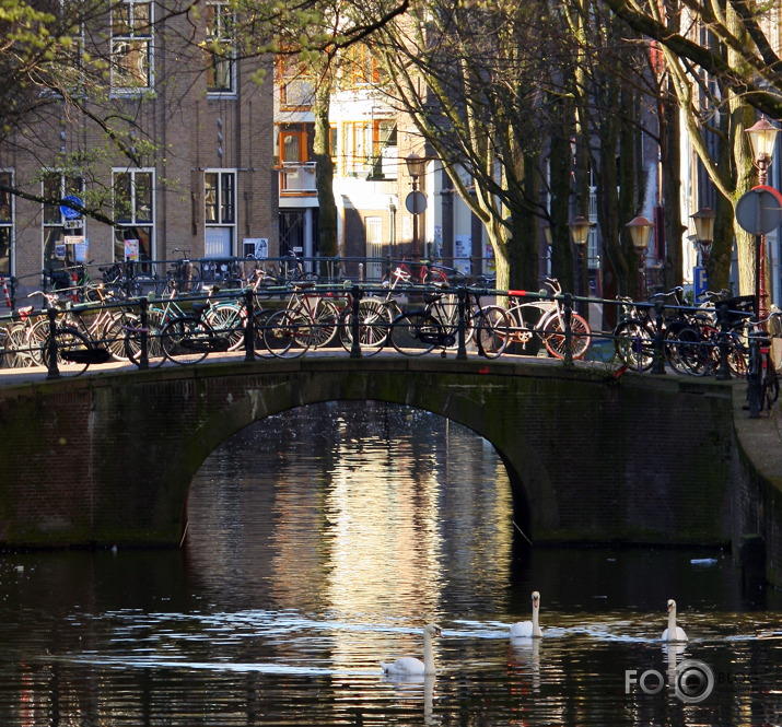 Amsterdamas kanāli rīta saulē